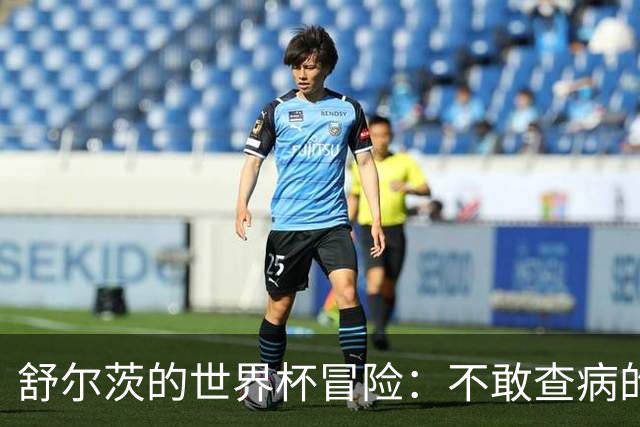 舒尔茨的世界杯冒险：不敢查病的代价与无奈的回归